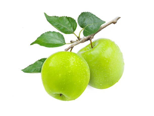istock green granny smith apples hang on branch 1372535982