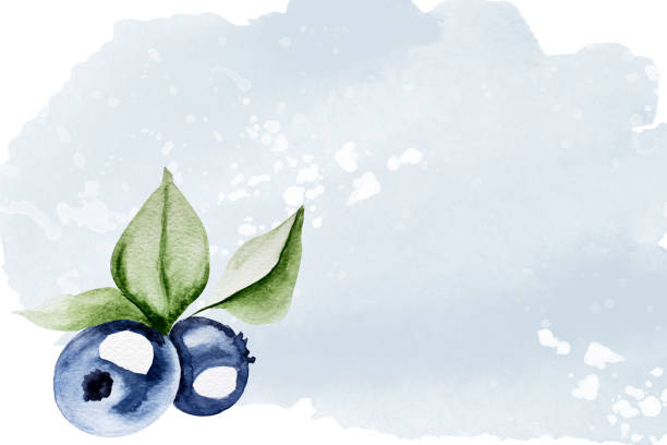 черника акварельная синий фон с пятнами - strawberry vine pattern plant stock illustrations