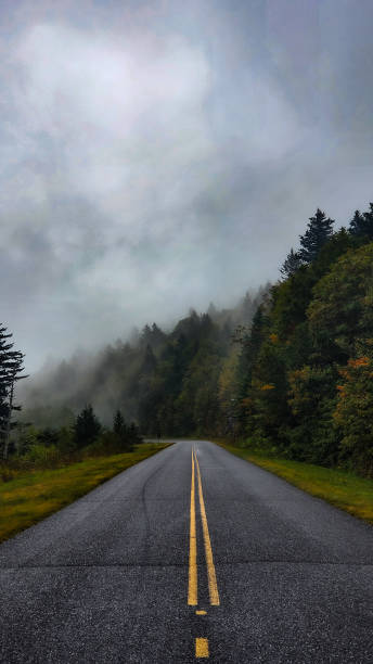 istock Road less traveled. 1372537960