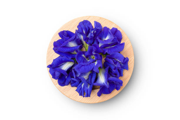istock butterfly pea flower 1372538188