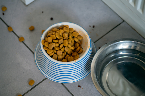 Dry dog food in a bowl and overspill.