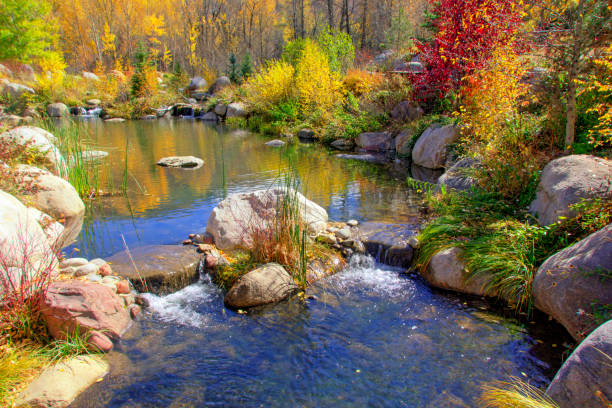 istock Small stream in early fall-Aspen Colorado 1372538875