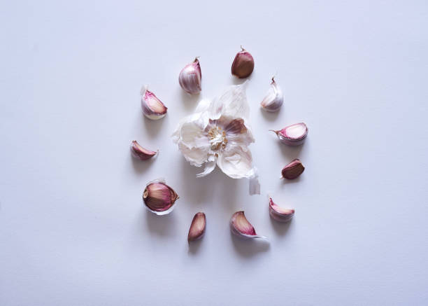 istock A circular explosion of garlic on white background. Flat lay, top view. 1372540022