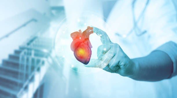 istock Doctor's hand shows human heart on medical background 1372540231