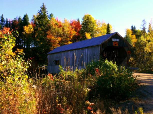 istock Covered Bridges of New Brunswick 1372545262