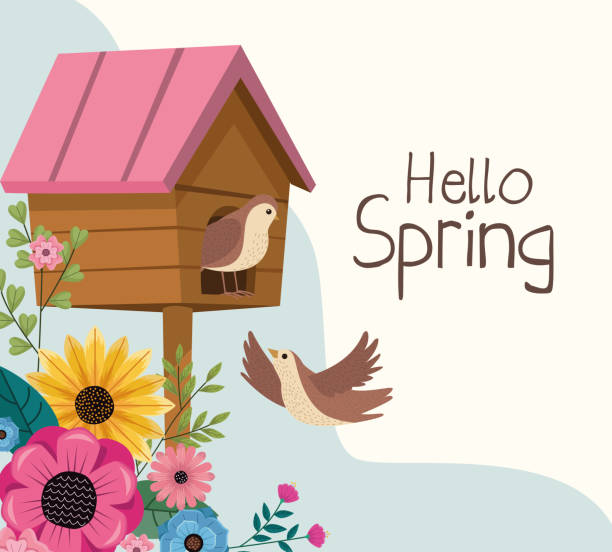 ilustraciones, imágenes clip art, dibujos animados e iconos de stock de hola escena estacional de primavera - birdhouse bird house ornamental garden