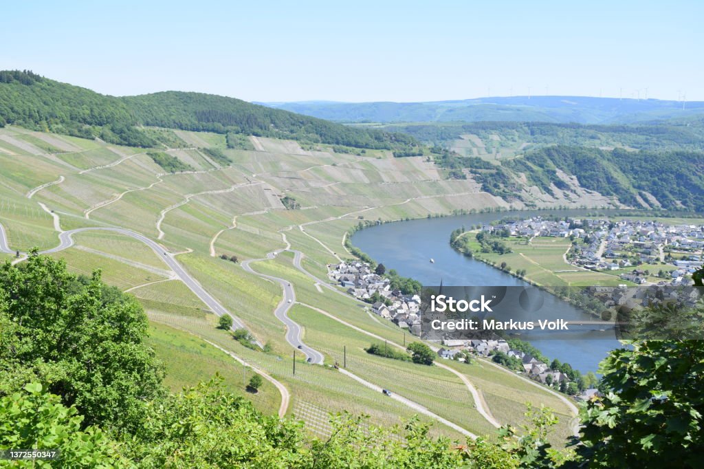 Mosel valley near Piesport in spring Rhineland-Palatinate Aerial View Stock Photo