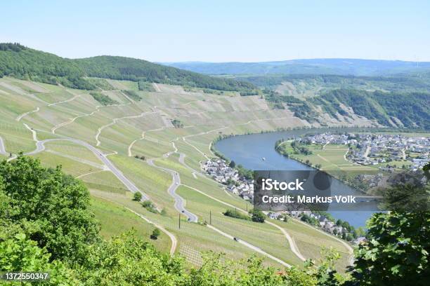 Mosel Valley Near Piesport In Spring Stock Photo - Download Image Now - Aerial View, Agriculture, Beauty In Nature