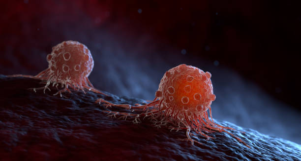 A migrating cancer cells stock photo