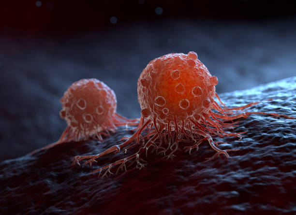 мигрирующие раковые клетки - cancer cell cell cancer human cell стоковые фото и изображения