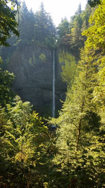 istock Latourell falls in August 1372554282