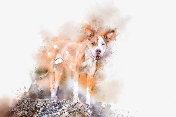 istock Watercolor illustration of a dog 1372558080