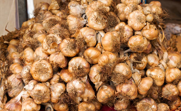 istock garlic on the market 1372561804