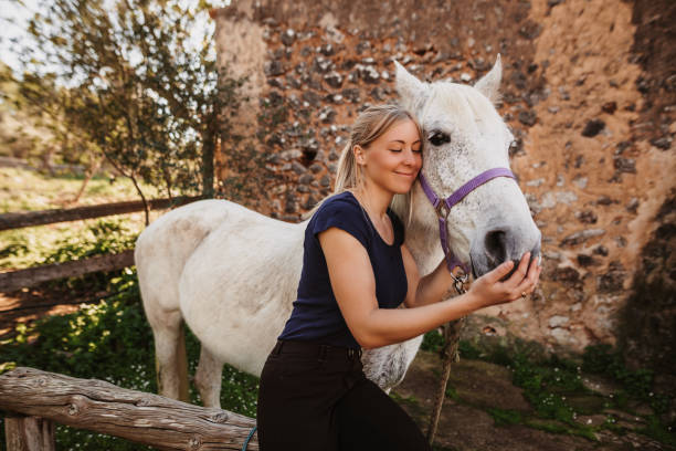 istock Smiling young blond woman cuddling with closed eyes her white mare in a rustic stable outdoors in Majorca 1372568240