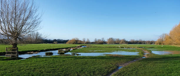 Historic water meadows or fields. On river Stour, outskirts of Sudbury, Suffolk Historic traditional water meadows or fields on River Stour. Outskirts of market town of Sudbury in Suffolk. Outdoors on bright winters day. February 21, 2022 suffolk england stock pictures, royalty-free photos & images