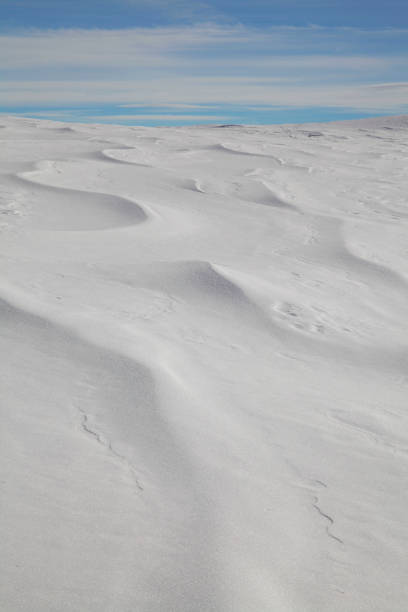 istock Beautiful patterns and textures in snow drifts 1372569611