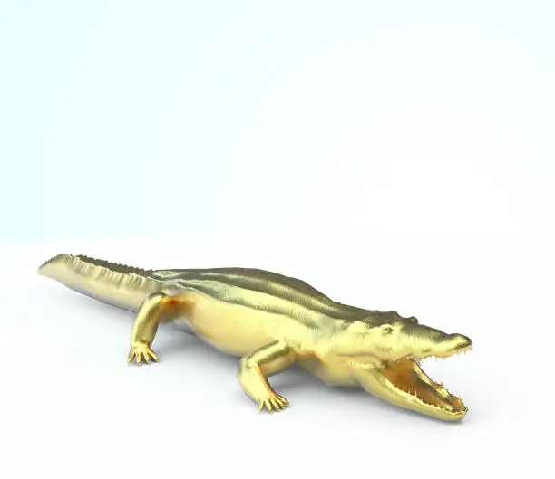 Photo of Crocodile Gold. White background.