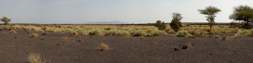 Landscape panorama view of Erta Ale Volcano in the remote regions of Ethiopia.