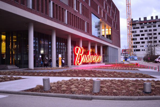 budweiser leuven - bud stock-fotos und bilder