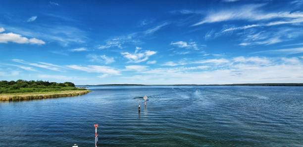 istock scenic landscape view over Plauer See in summer 1372580984
