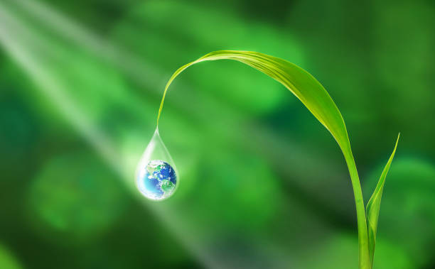 istock in sunlight, Water and World sustainable environmental day concept 1372583901