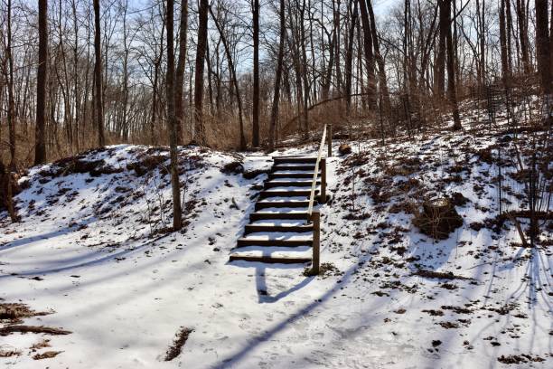 istock Snowy Hiking Trail 1372584654