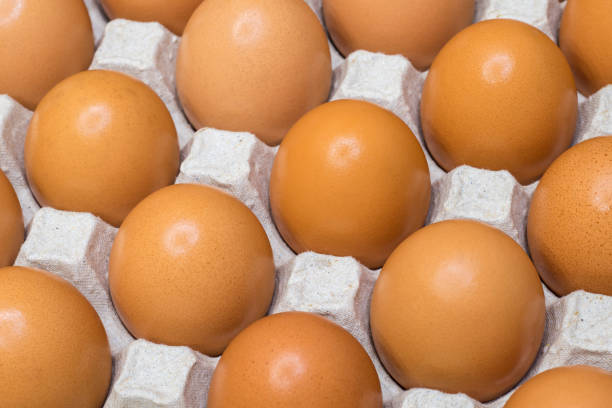 istock Fresh eggs evenly arranged in an egg container. Food background 1372584712