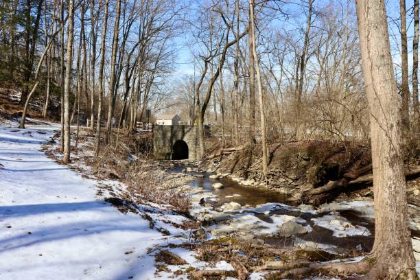 istock Snow Covered Hiking Trail 1372585822