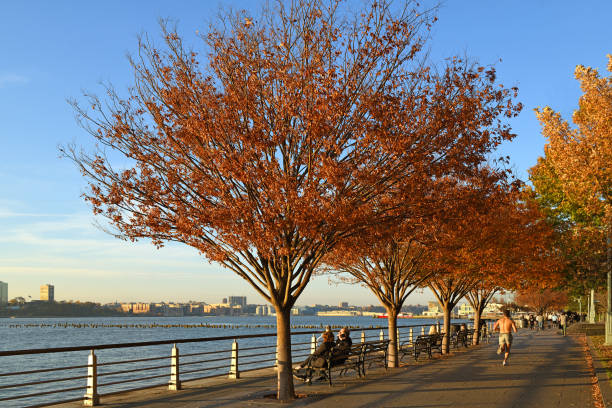 日没時のハドソン川の秋の堤防。ニューヨーク市 - nyc greenway ストックフォトと画像