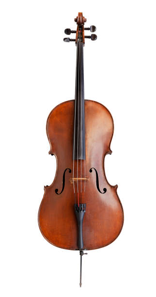 istock cello music string instrument for harmony orchestra concert 1372590121