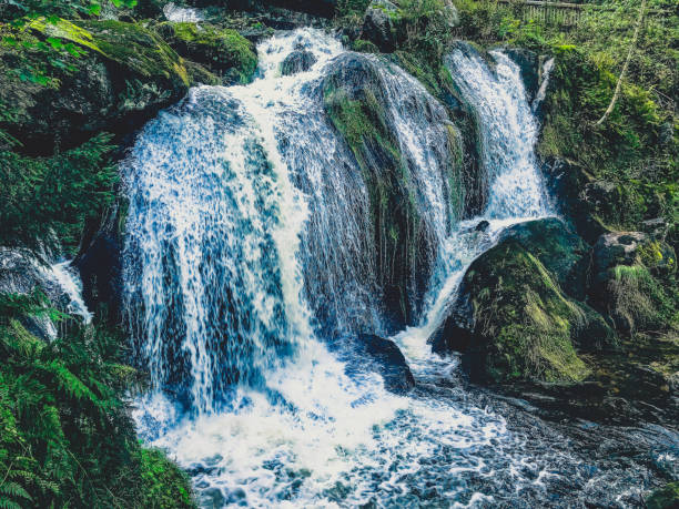 istock A small stony river with waterfalls in the Black Forest. 1372591811