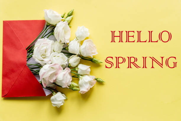 istock Hello Spring hand lettering inscription and eustoma flowers on bright yellow background. Lettering spring season.web banner.stylish flat lay. soft light, tenderness atmospheric moment. 1372595241