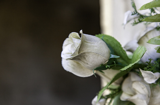 Detail of flowers to remember the dead