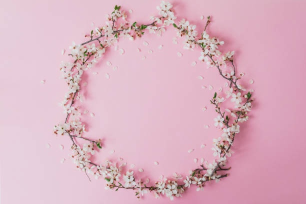 Round frame of spring flowers on pink background. Flat lay, top view. Spring time background.