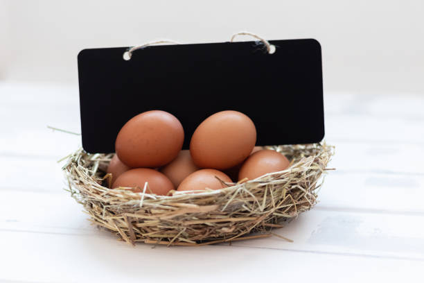 istock eggs in a nest on a white background with a copy space,a place for a price or text 1372600784
