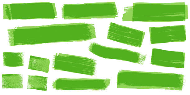 stockillustraties, clipart, cartoons en iconen met green paint brush strokes - watercolour brush strokes green background