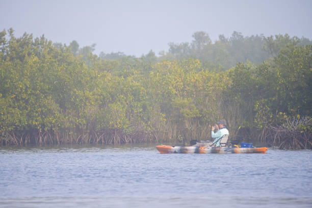 Kayaker fishing among mangroves Crystal River, Florida.