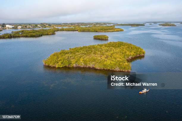 Kayak Fishing In Florida Drone View Stock Photo - Download Image Now - 55-59 Years, Adult, Adults Only