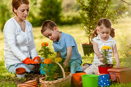 Mother and her children helping potting flowers in the garden