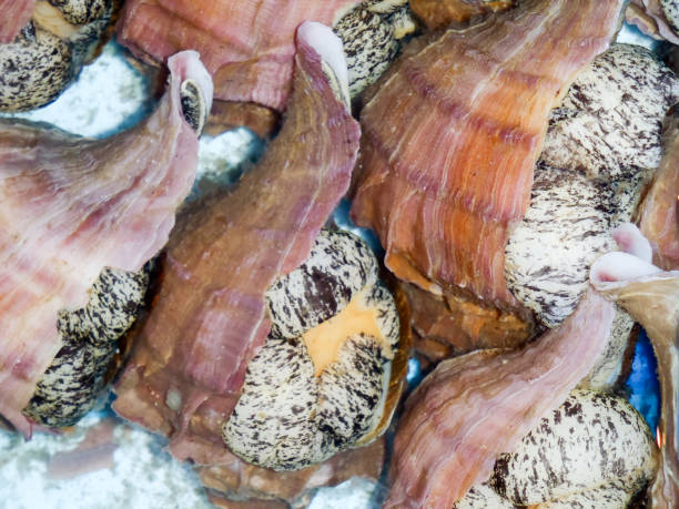 istock Fish at fish market in Tokyo 1372611713