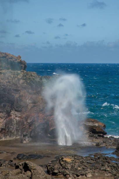istock Blowhole in rocky beach 1372611813