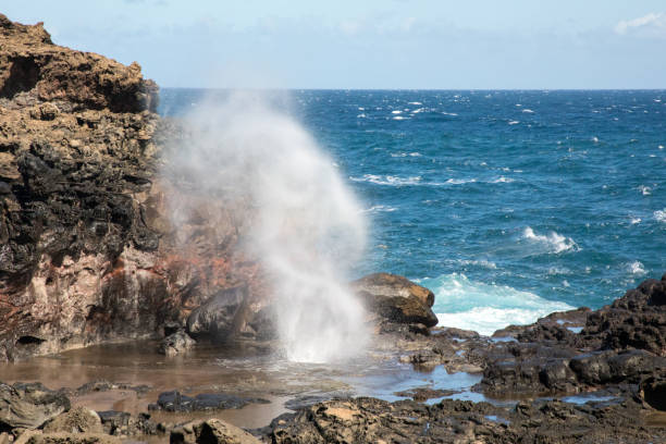 istock Blowhole in rocky beach 1372611856