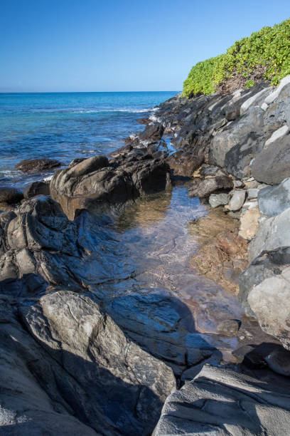 istock Rocky Beach on Maui 1372611866