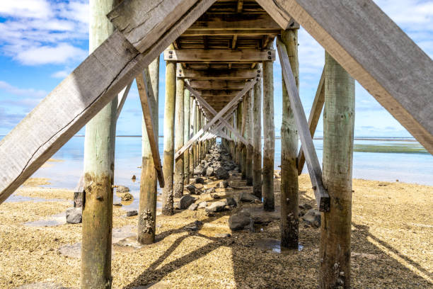 istock Pier over bay of water 1372611922