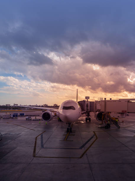 istock Airport at dawn in Miami, Florida 1372628751