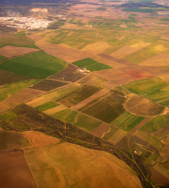 istock Agriculture fields in the vicinity of Seville, Spain 1372629263
