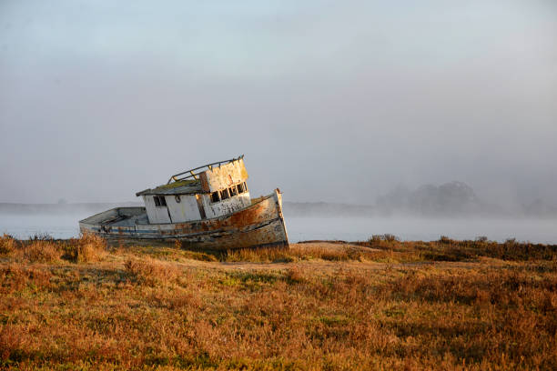 istock Abandoned Fishing Boat on Land 1372629561