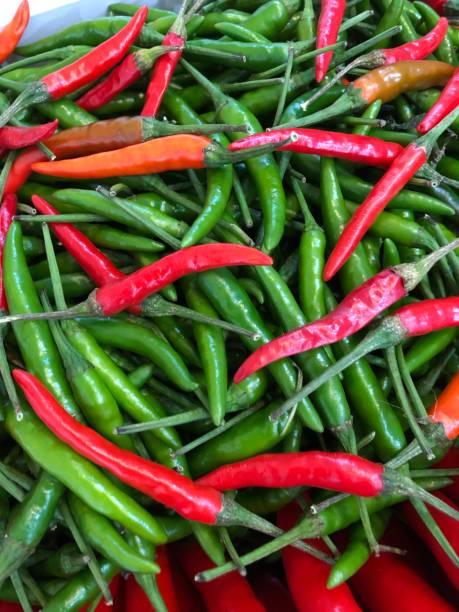 Bulk of bird eye chili stock photo