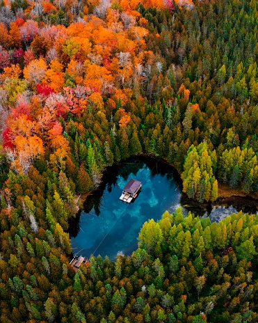 Drone/Aerial image of Kitch-iti-kipi, a freshwater spring in the Upper Peninsula of Michigan. This was taken during a roadtrip in the fall of 2019. The fall colors were starting to change creating a beautiful scene to photograph.