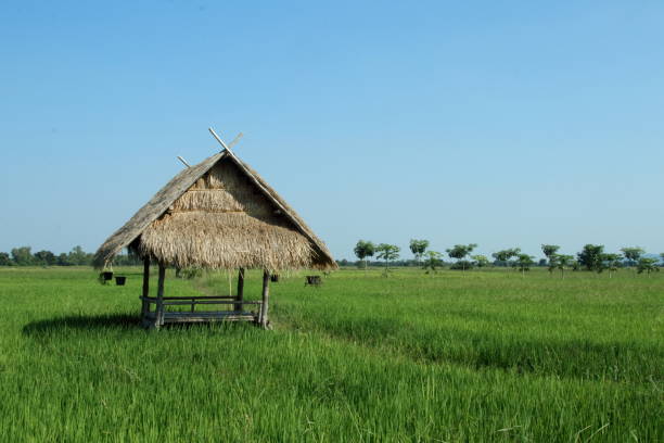 istock Hut in field and blue sky. 1372654190